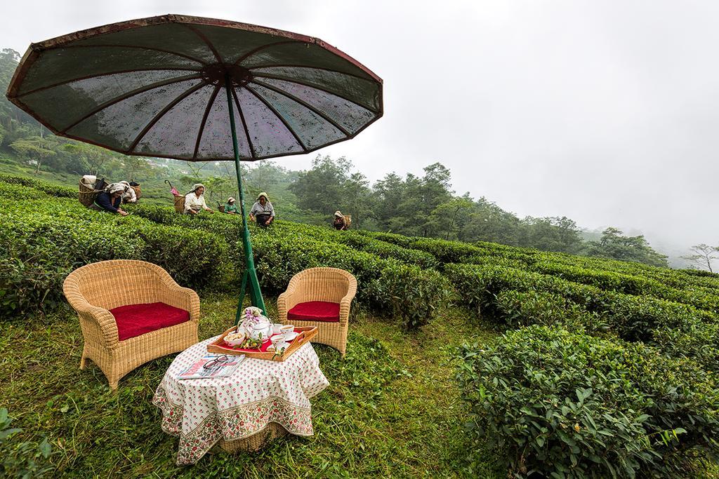 Ging Tea House Pensionat Darjeeling  Exteriör bild
