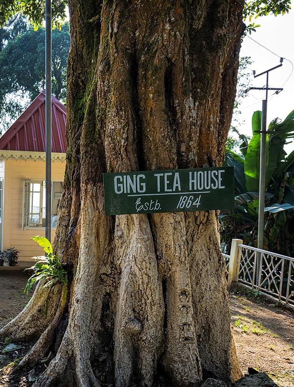 Ging Tea House Pensionat Darjeeling  Exteriör bild