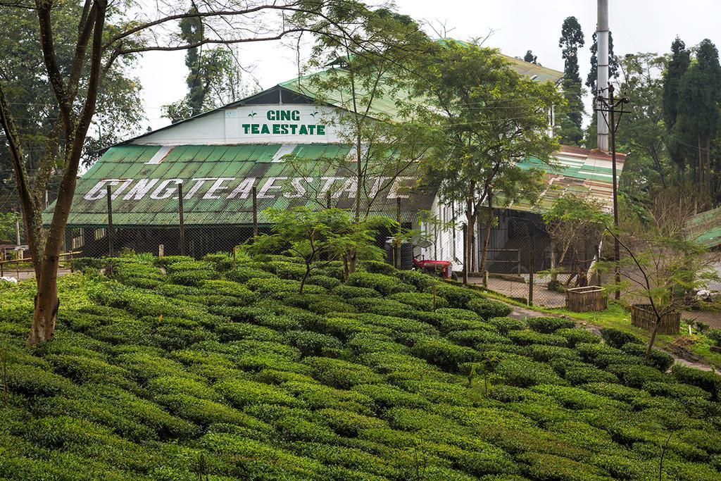 Ging Tea House Pensionat Darjeeling  Exteriör bild